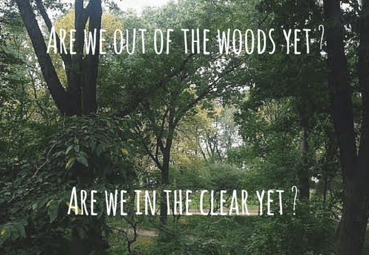 Screen Shot 2015-11-20 at 12.12.04 PM