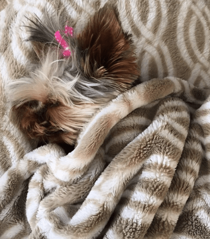 Screen Shot 2016-04-29 at 2.38.30 PM