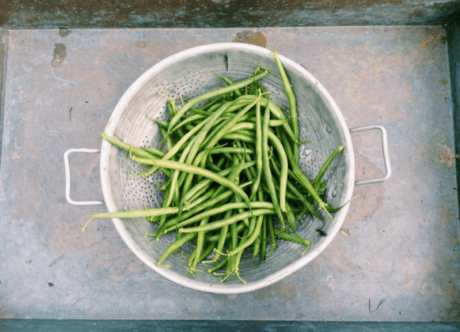 Screen Shot 2016-07-25 at 11.51.17 AM.png