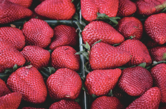 Screen Shot 2016-09-26 at 3.31.22 PM.png