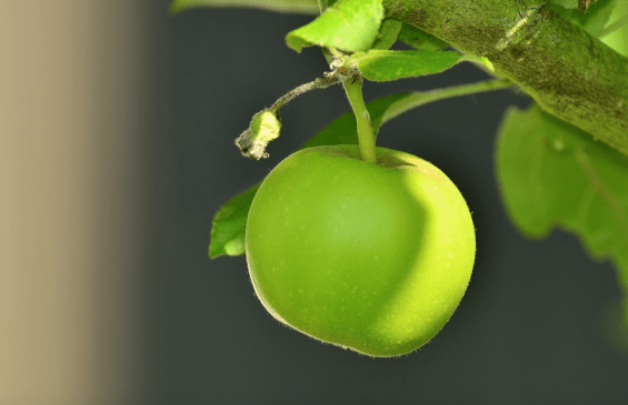 Screen Shot 2016-10-25 at 10.53.35 PM.png