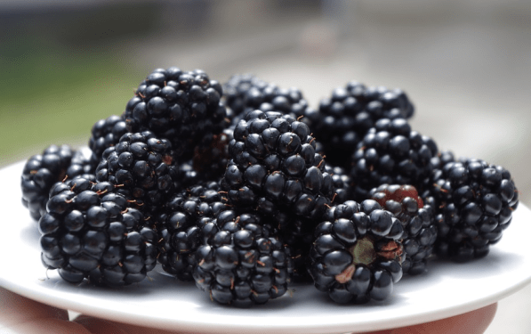 Screen Shot 2016-10-25 at 11.17.01 PM.png