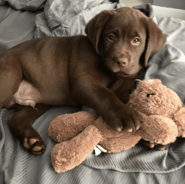 Screen Shot 2017-06-26 at 8.38.27 PM.png