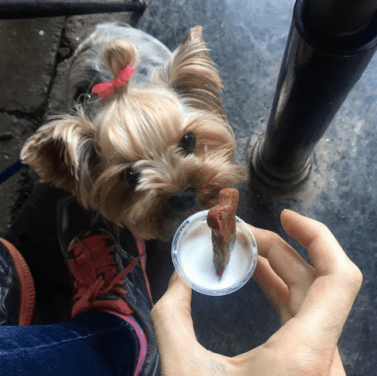 Screen Shot 2017-06-26 at 8.41.42 PM.png