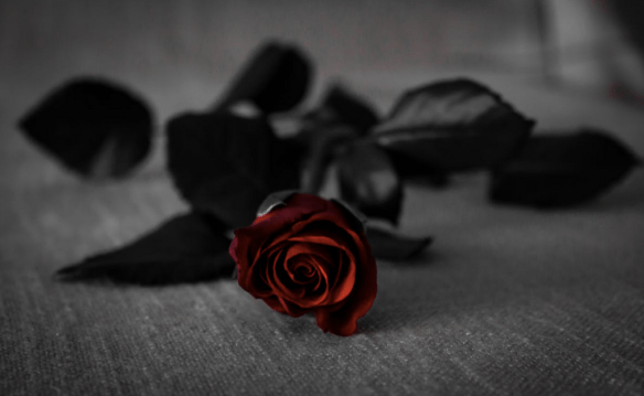 Screen Shot 2017-07-27 at 11.54.28 PM.png