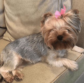 Screen Shot 2017-07-30 at 11.57.31 AM.png