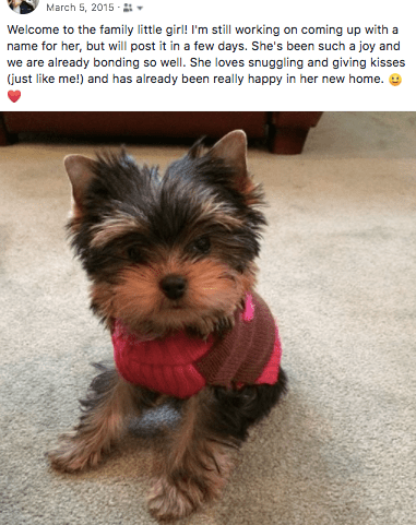 baby macy welcome.png