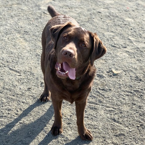 F69B99EF-A2E3-4454-B797-1836AF77D82C