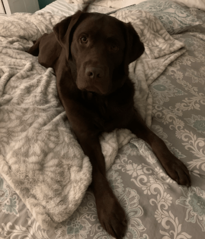 Screen Shot 2020-01-23 at 10.54.41 PM